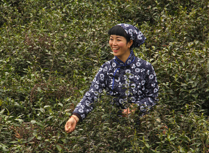百丽直播377 热门1